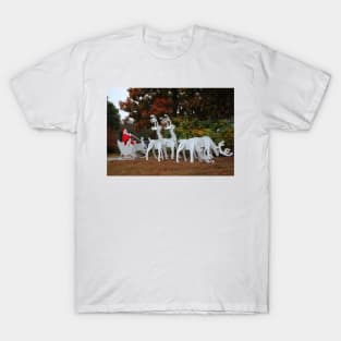 Santa Sleigh And Reindeer T-Shirt